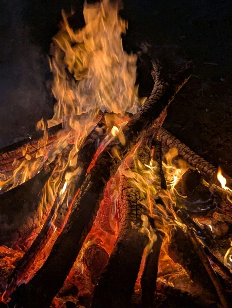 pexels vikas jadhao 266970497 33431676